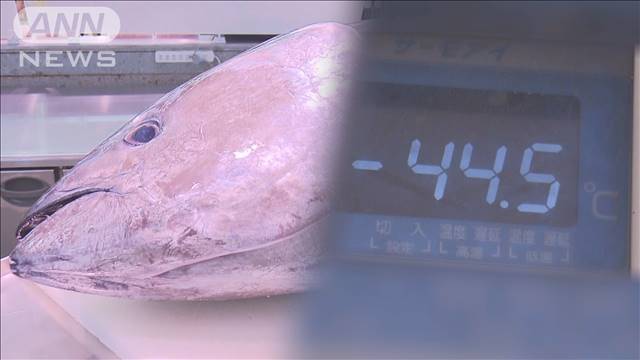 6月使用分から電気代値上がり 鮮魚店も悲鳴 暑さの影響も…