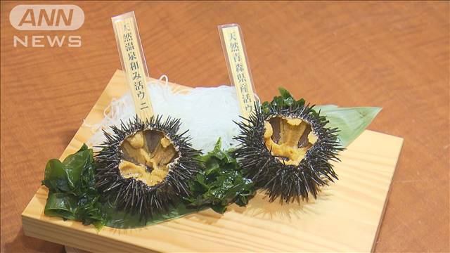 温泉育ちのウニ“海なし県”埼玉の特産品へ…提供始まる