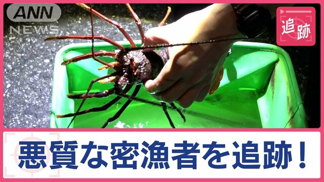 狙われる高級海産物「検挙の瞬間」サザエ次々と！　なぜ増加？中国SNSに“密漁動画”