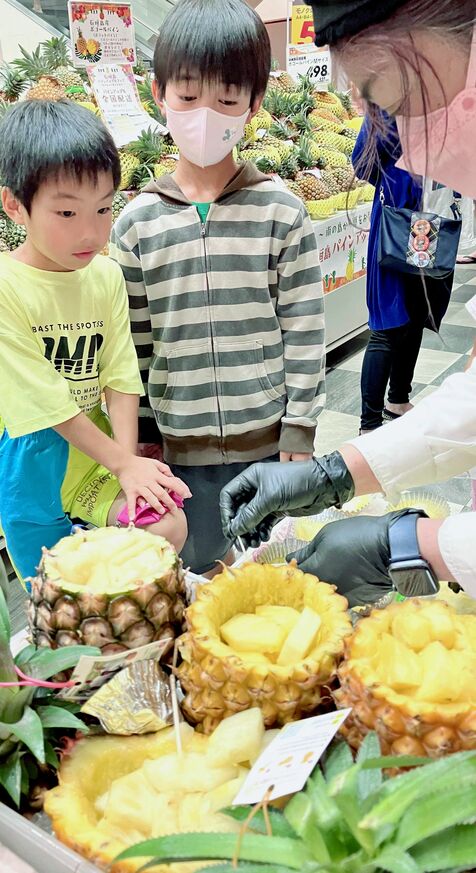 「とてもおいしい」 石垣島パイン3種いかが？　沖縄県内のイオン7店舗でフェア　きょうまで