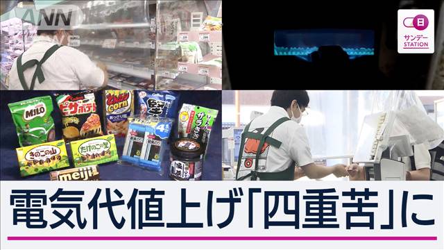 乗り物の電球間引いて…電気代値上がり遊園地悲鳴「経営に影響」園長の秘策は薪割り