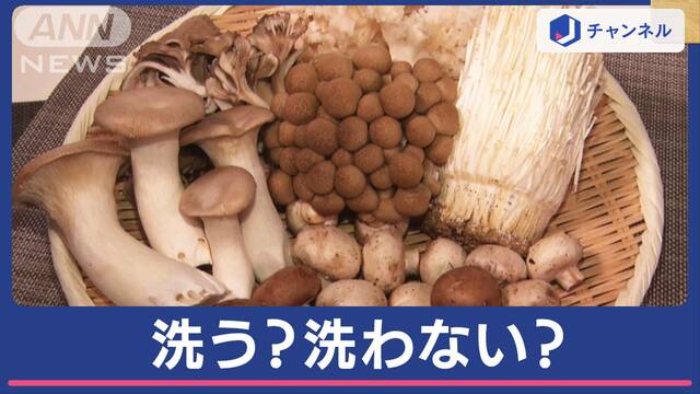 “きのこ”買ったら料理する前に…洗うべき？洗わないべき？JAに聞くと実は