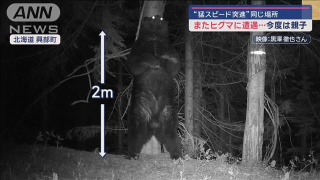 JRの駅からクマ目撃！　初夏は要警戒　“緊迫の瞬間”ヒグマに素手で抵抗