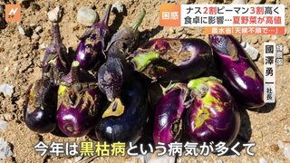 「食べ盛りの子どもには食べさせたい」ナスが2割 ピーマンは3割など夏野菜が高値に…天候不順の影響大きく