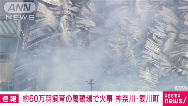 約60万羽飼育の養鶏場で火事　消火活動続く　溶接作業から燃え移ったか　神奈川