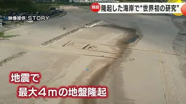 地震で最大4mほど隆起…「海底地形の成り立ち探れる」輪島の海岸で金沢大等のグループが世界初の研究開始