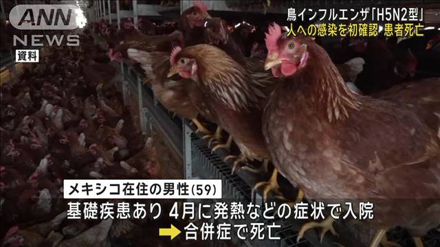 鳥インフルエンザ「H5N2型」人間への感染を初確認　男性は死亡　牛の感染も広がる