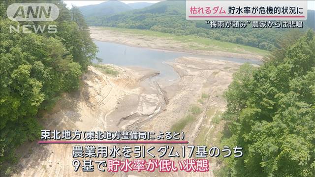 「雨を願うばかり」枯れるダムと田んぼに農家悲鳴　遅れる梅雨…渇望する人たちも