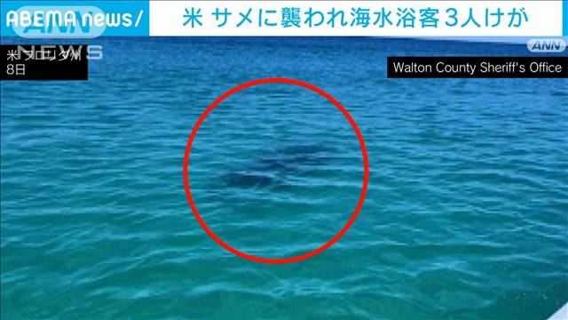 海水浴中にサメに襲われ3人けが 腕の一部切断も 90分の間に2か所で発生　米フロリダ州