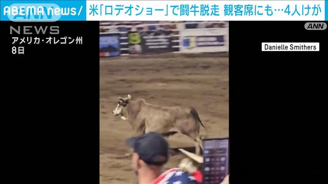 「ロデオショー」闘牛が観客席へ　競技場の外まで脱走