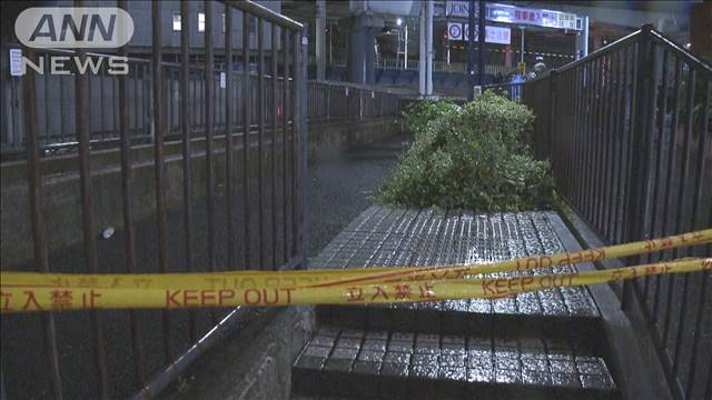 女性が切り付けられ死亡 交番に男性が出頭 横浜