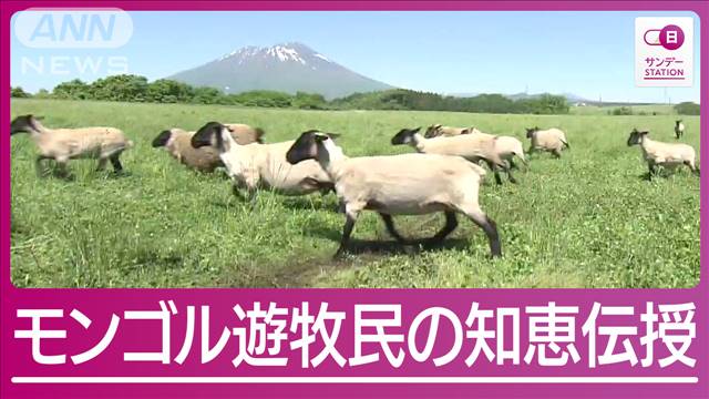 “希少肉”育てるモンゴル人羊飼いに密着！“万能の生物”衣食住すべてを支える羊