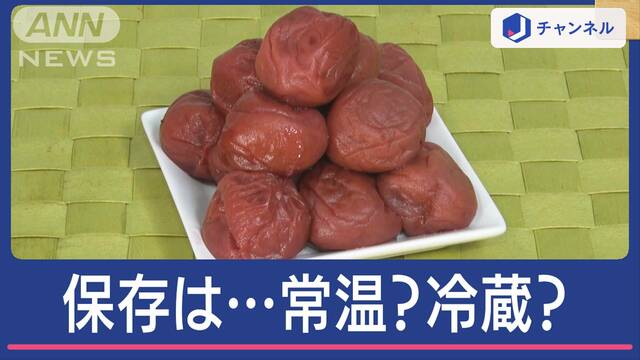 梅干しの保存は冷蔵？常温？　勘違いが多い…ポイントは“塩分”