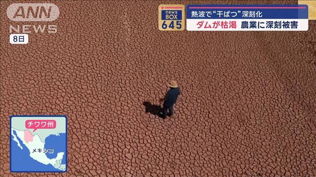 熱波で“干ばつ”深刻化　ダムが枯渇　農業に深刻被害　メキシコ