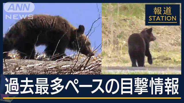 “肉食？”情報も…クマの目撃相次ぐ北海道『ハンタードローン』も新導入