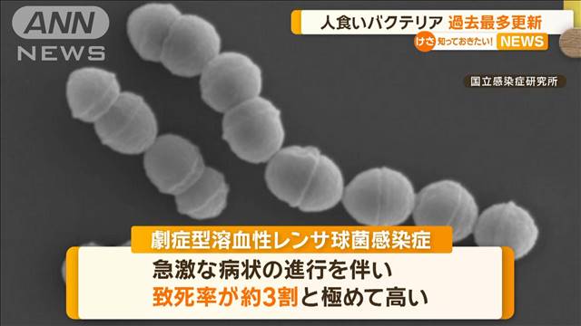 「人食いバクテリア」患者が最多の977人　昨年上回るハイペース　致死率は約3割　