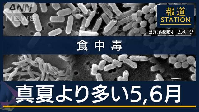 「ポイントは3つ」家庭に潜むリスクとは…高温多湿で“細菌増殖”梅雨は食中毒に警戒