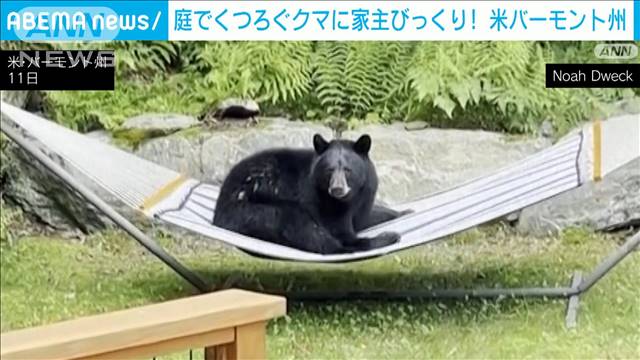 庭のハンモックでくつろぐクマに家主びっくり！　米バーモント州