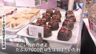 「少なく見積もって2000億匹」アメリカに“セミゲドン”襲来　セミケーキやセミアートで大盛り上がり