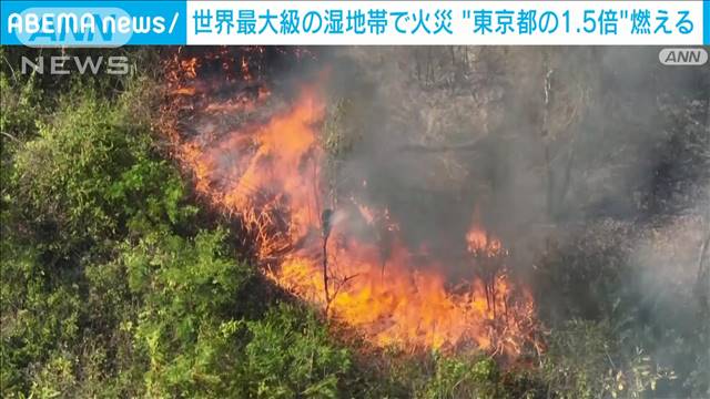 ブラジルの世界最大級の湿地帯　火災の拡大続く　2020年以来最悪の被害