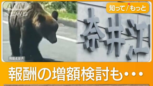 クマ駆除「最低賃金にも満たない」　猟友会と交渉決裂　きのうも目撃…どう対応？