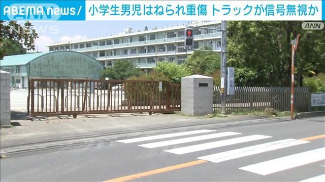 登校中の小学生男児が横断歩道ではねられ重傷　トラックが信号無視か　埼玉・所沢市