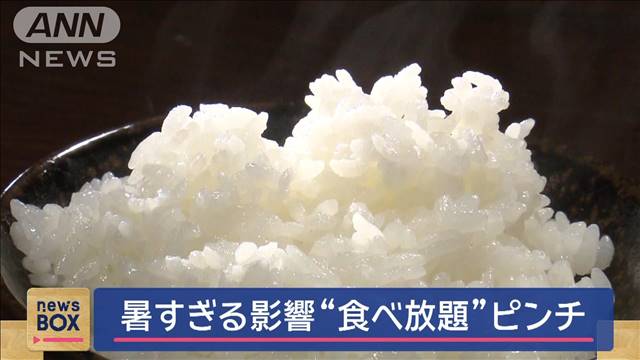 暑すぎる影響“食べ放題”ピンチ　お米高くて…「おかわりないと泣く」