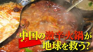 中国の激辛火鍋が地球を救う？火鍋油で飛ぶ環境にやさしい飛行機とは