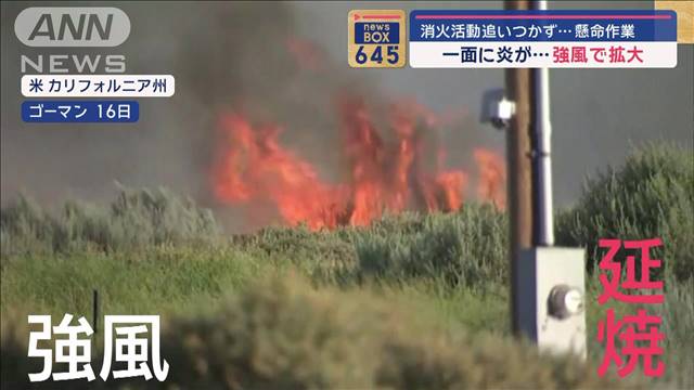 【世界のNEWS】ロス郊外で大規模山火事　消火追いつかず“世田谷区の広さ”が焼けた