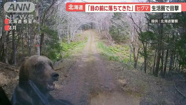 「馬鹿にしているのか」ヒグマ駆除　町と猟友会が交渉決裂「高校生のバイト以下」