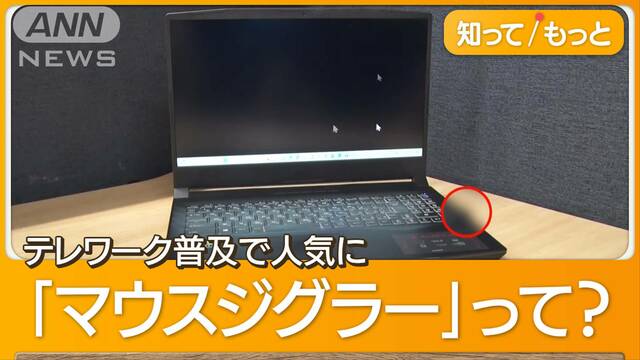 「働いてるふり」行員を一斉解雇　アメリカ銀行大手が…“マウス偽装工作”調査で判明