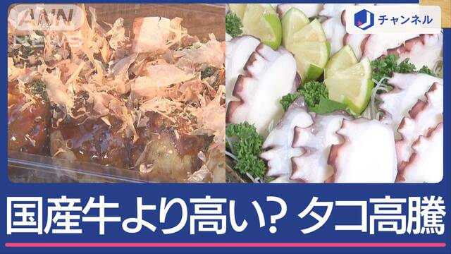 国産牛より高い？タコが高騰中“庶民の味”に異変