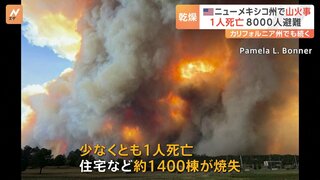 アメリカ西部・ニューメキシコ州で大規模山火事　建物約1400棟焼失　知事は非常事態を宣言