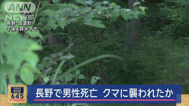 顔や背中に爪痕が…　長野で男性死亡　クマに襲われたか