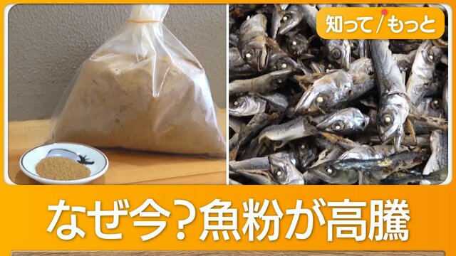 「魚粉」高騰がラーメン店直撃　養殖業者にも打撃「育てるだけ赤字」　「煮干し」も…