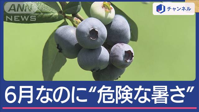 運転中に熱中症「熱風が来る」　梅雨の危険な暑さ　今年一番の気温に“対策”は？