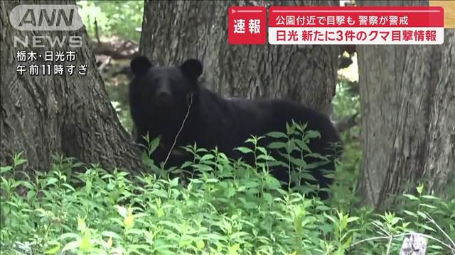 【速報】日光で新たに3件のクマ目撃情報 警察が警戒