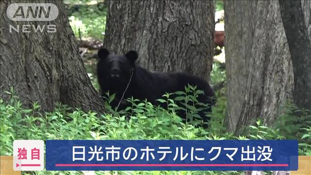 【独自】クマ出没　スタッフの前で警察官と対峙　人気観光地・日光で