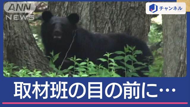 前代未聞！日光の校庭にクマ居座り　ホテルの敷地にも