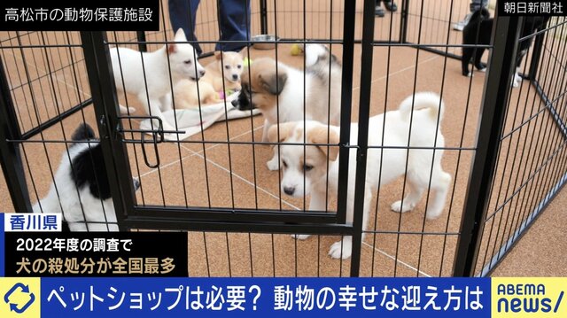 なくならない犬猫の殺処分…ペットショップとの関係は？ “飼う”と“繁殖”の分離が課題？ 「生体販売」を考える