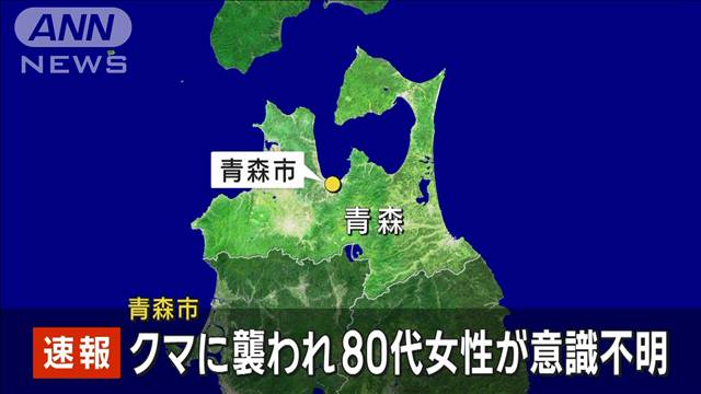 【速報】クマに襲われ80代女性が意識不明　青森市