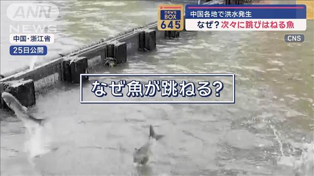 中国各地で洪水発生　なぜ？次々に跳びはねる魚　配達中？バイク運転手が立ち往生