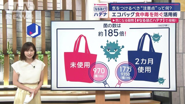 「エコバッグ」にも食中毒の危険　使い方で気をつけるべき“注意点”って何？