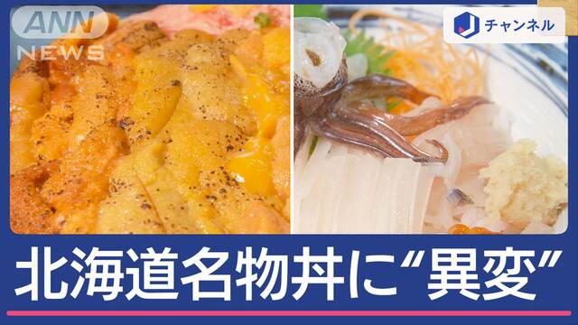 北海道のソウルフードが消えた！？スルメイカ＆ウニ危機「もう最悪です」