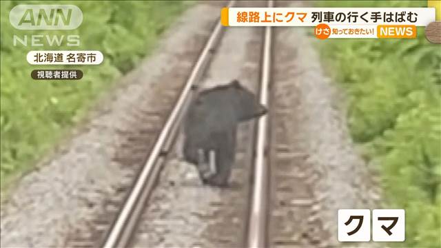 線路上にクマ　列車の行く手はばむ　北海道名寄市