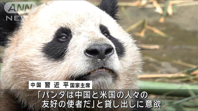 米中「友好の使者」ジャイアントパンダ　2頭が中国からアメリカへ出発