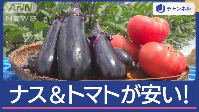 物価高の救世主！「夏野菜の王様」ナス＆トマトがとにかく安い！