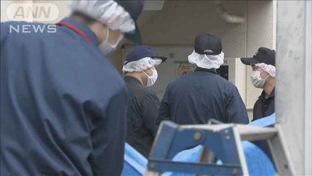 高知の市営住宅で76歳女性死亡　46歳の次男を殺人容疑で逮捕