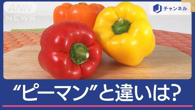 パプリカはピーマンと何が違う？見た目が似てるだけじゃなく…同じ植物!?では何が