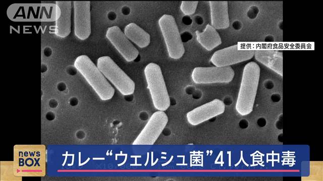 カレー“ウェルシュ菌”41人食中毒　長野・上田市